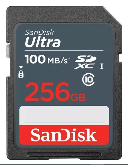 Карта памяти SanDisk SD 256 ГБ Class 10, UHS-I, R 100 МБ/с